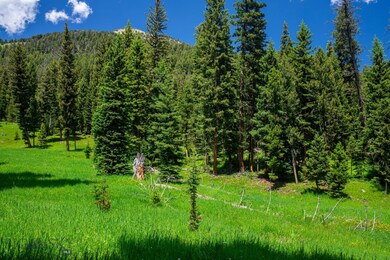 Tract 1A-1 Chief Joseph Trail, Big Sky, MT 59716 - photo 5