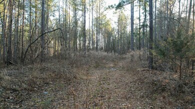 0 Jefferson Davis Rd unit 25510658, Mountville, SC 29370 - photo 6