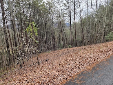 Lot 101 Eagles View Crescent, Hayesville, NC 28904 - photo 4