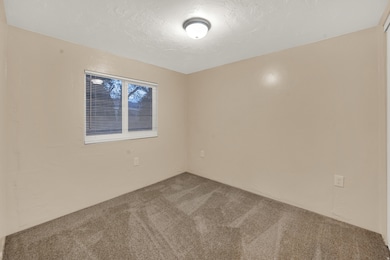 Carpeted spare room with a textured ceiling