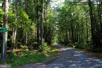 0 3 Lots Lee Cir St, Kinsale, VA 22488 - photo 4