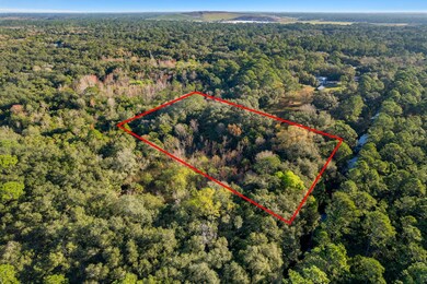 6-web-or-mls-DJI_0075-Lot Lines