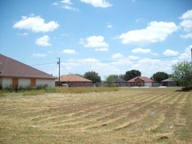 751 Monica St, Donna, TX 78537 - photo 3
