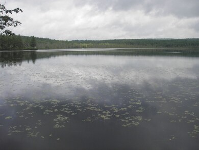 m26l6 Old Turnpike Rd, Fitzwilliam, NH 03447 - photo 6