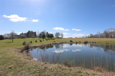 Pond