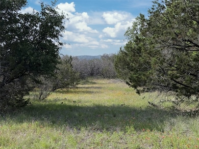 TBD 2010 unit Lot 6, Glen Rose, TX 76043 - photo 2