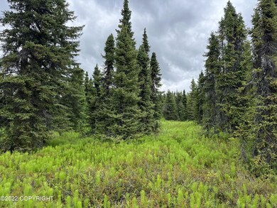 Tr6 Tomski, Anchor Point, AK 99556 - photo 6