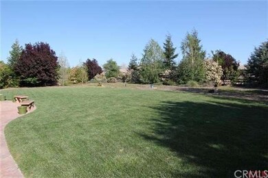 Believe it or not....this is the backyard, which i