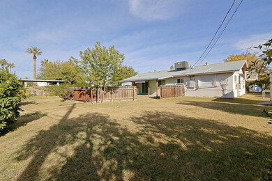 Backyard 2
