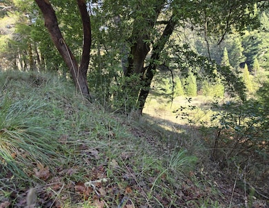 2713 Primrose Dr, Willits, CA 95490 - photo 4