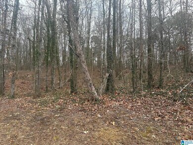 2615 3rd St NE unit 27, Center Point, AL 35215 - photo 3