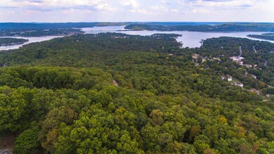 4 Plateau Ln, Kimberling City, MO 65686 - photo 3