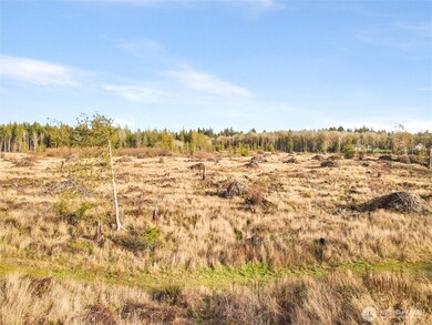 0 XXX Gravelly Beach Loop NW, Olympia, WA 98502 - photo 4