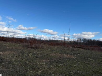 0 Mockingbird Ln unit 1940719, Kalkaska, MI 49646 - photo 6