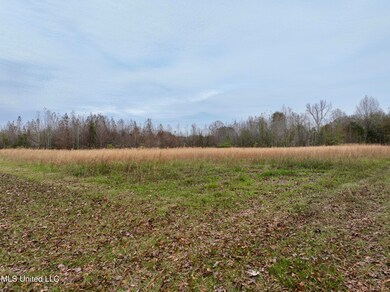 0000 Brown Rd, Canton, MS 39046 - photo 4