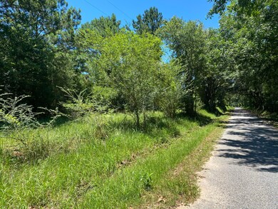 00 Spooner Rd, Lucedale, MS 39452 - photo 4