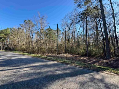 TBD Long Branch Swamp Rd, Nichols, SC 29581 - photo 5