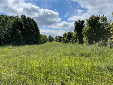 0 New Manchester Hwy, Manchester, TN 37355 - photo 2