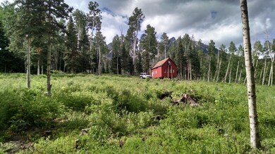IMG_05_20190707_100346539_HDR