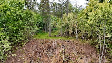 TBD19 Norwich Rd, Ontonagon, MI 49953 - photo 2