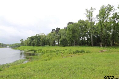 15787 County Road 285, Tyler, TX 75707 - photo 7