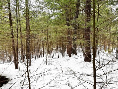 Map 18 Lot 15 Summit View Dr, Moultonborough, NH 03254 - photo 7