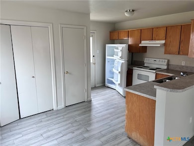 4103 Wine Cup unit C, Copperas Cove, TX 76522 - photo 3