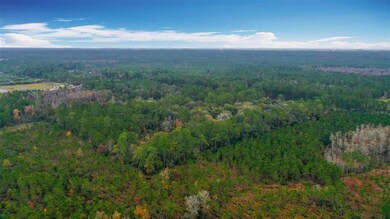 7895 U S Route 1, St. Augustine, FL - photo 5