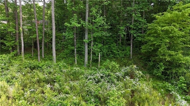 View of tree filled area