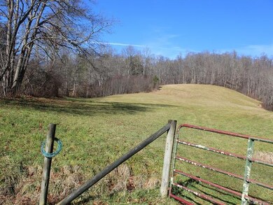 456 Maney Branch Rd, Burnsville, NC 28714 - photo 2