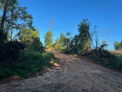 0 Curry Rd, Monroeville, AL 36460 - photo 7