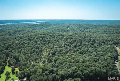 0 Bayberry Ln unit MIS25054464, Climax Springs, MO 65324 - photo 5