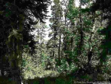 Land/Lot.