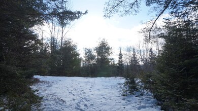 0 Nichols Rd, Dalton, NH 03598 - photo 6