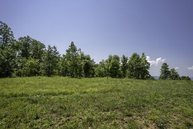 0 Bear Crawl Rd unit RTC2725717, Jasper, TN 37347 - photo 4