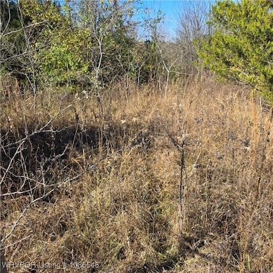Tract 3 E 1290 Rd, McCurtain, OK 74944 - photo 6