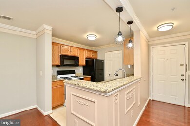 14162 Cuddy Loop unit 201, Woodbridge, VA 22193 - photo 3