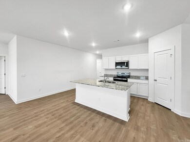 117 E Sunbelt Ct, Mayflower, AR 72106 - photo 2