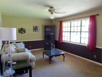 305 W Vine St, Sheridan, AR 72150 - photo 6