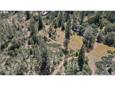 168 Krauss Ln, Cave Junction, OR 97523 - photo 7