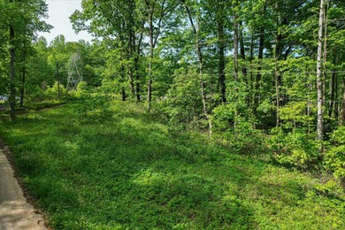 01-Dunlap Lot-1