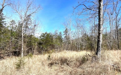 9205 Highway 9, Melbourne, AR 72556 - photo 3