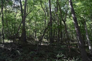 Cannon Hollow Rd unit LotWP001, Bronston, KY 42518 - photo 7