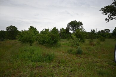 DSC_1916