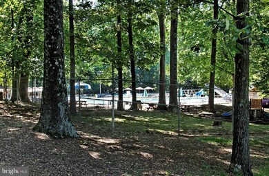 7301 Pinecastle Rd, Falls Church, VA 22043 - photo 4