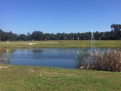 Lot 816 Hidden Lagoon Dr, Shellman Bluff, GA 31331 - photo 5