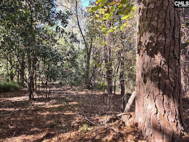 17 Five Bridges Rd, Camden, SC 29020 - photo 6