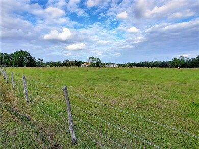 0 Whitney Ashton Ln unit T3417139, Zephyrhills, FL 33542 - photo 5