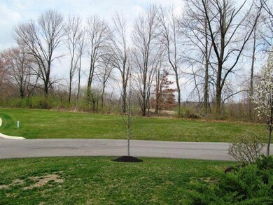 1 EXT - green space trees