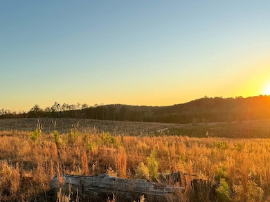 0 Hob Ward Rd, Winfield, AL 35594 - photo 4